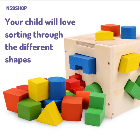 Wooden Shape Sorter Geometric Blocks-Educational Toys for Kids